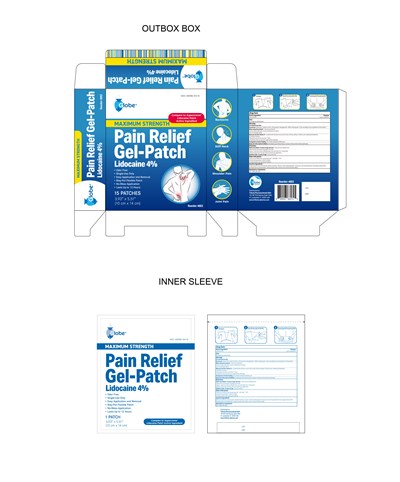 4802 Globe Lidocaine Patch 101323 Cder (4802 Globe Lidocaine Patch 101323 Cder)